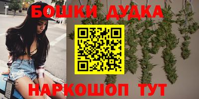 гидропоника Будённовск