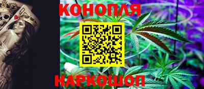 гидропоника Будённовск
