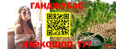 гидропоника Будённовск