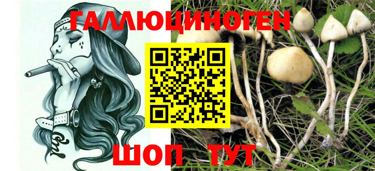 Галлюциногенные грибы Cubensis  Вход с VPN  Саранск 